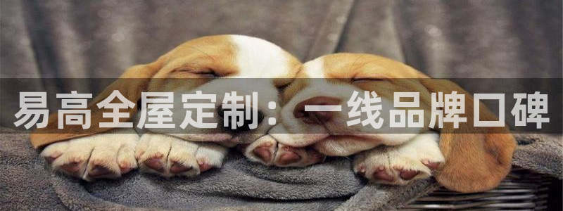 bb电子哪个平台好