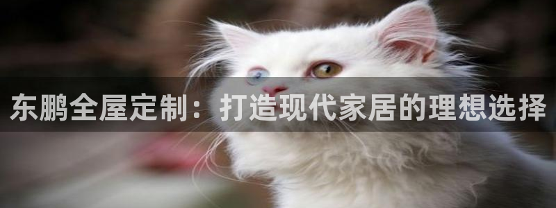 bb电子哪个平台好点