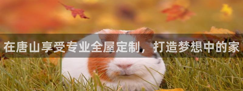 bb电子游戏娱乐平台