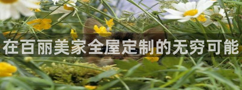 BB电子怪物派对