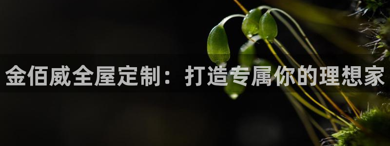 bb电子中了Major怎么算