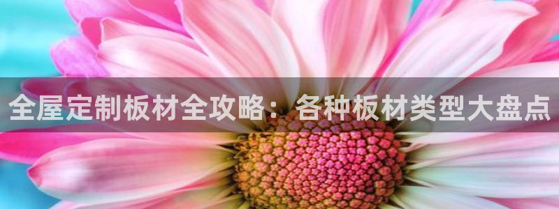 bb电子哪个平台好些