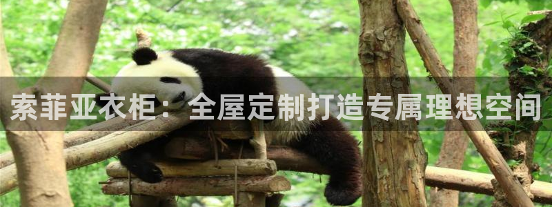 bb电子哪个游戏好赢钱啊