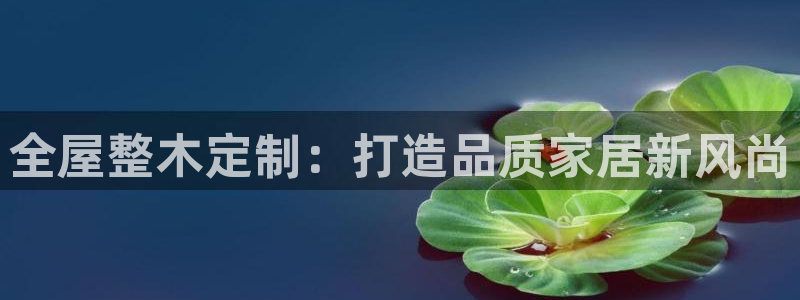 bb电子哪个平台好用