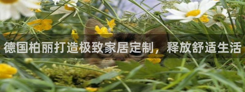 bb电子掉彩金