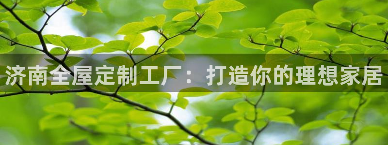 网上bb电子为什么那么假