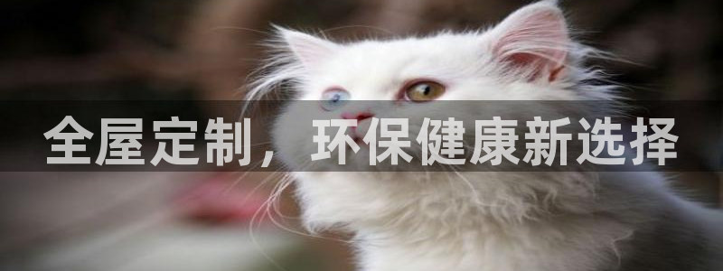 bb电子哪个平台好用一点
