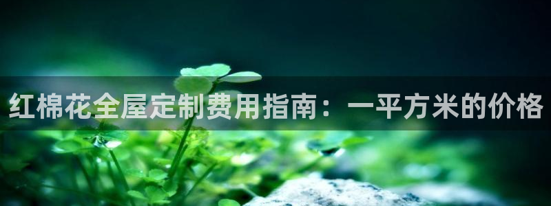 BB电子麻将胡了