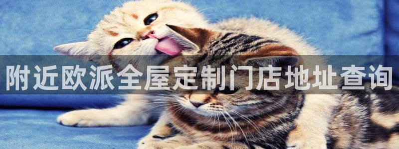 bb电子mini彩金掉落规则