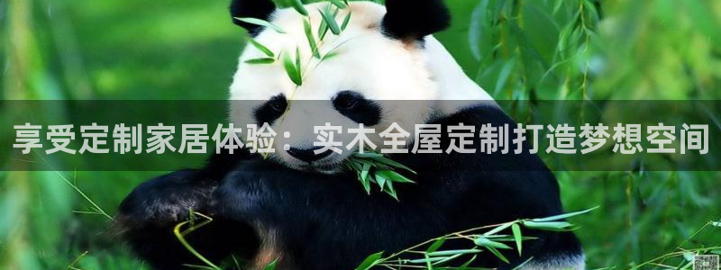 bB电子琴和弦