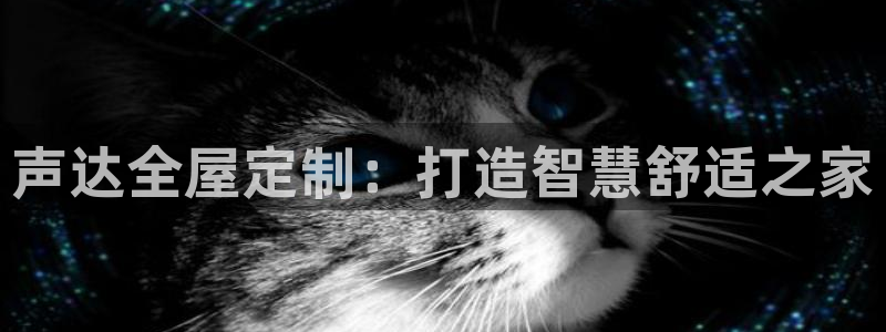 BB电子锁怎么接电