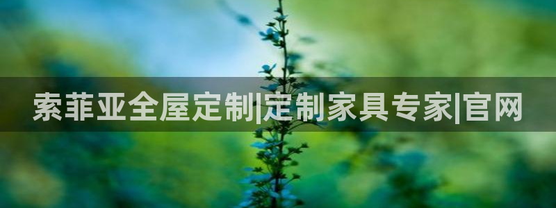 bb电子最简单设置方法