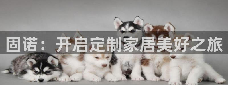 BB电子连环夺宝