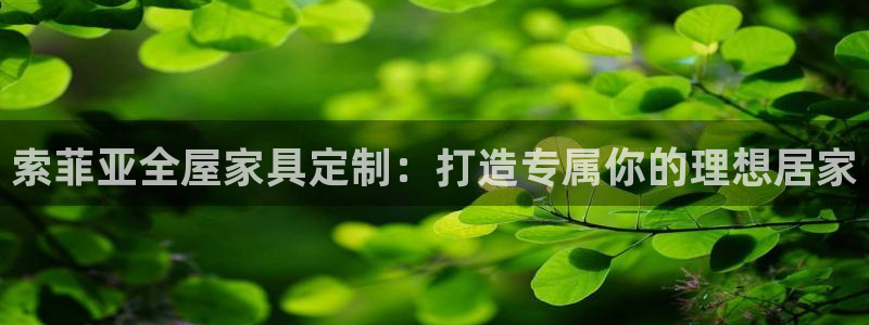 bb电子中了Major怎么算