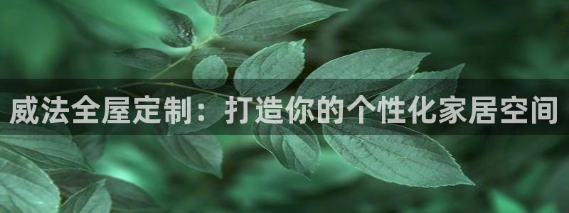 xbb电子游艺