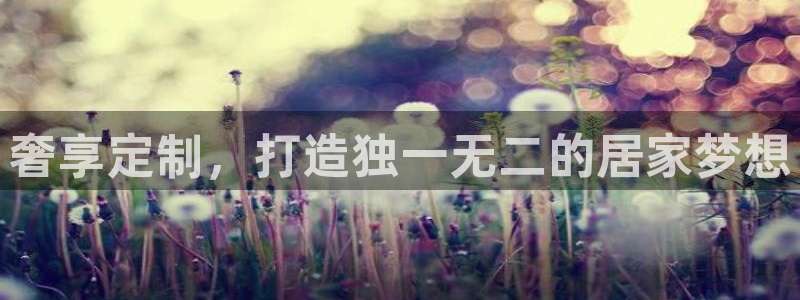 bb电子哪个平台好用一点