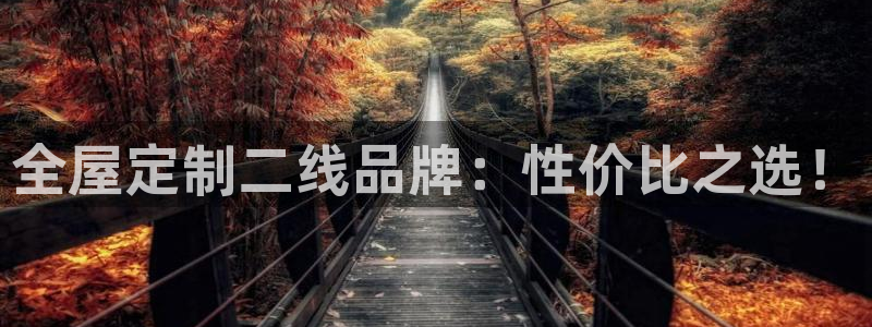 bb电子哪个平台好用