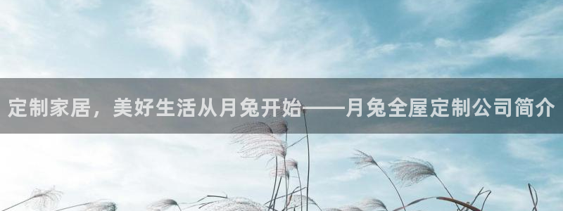 bb电子哪个平台好用点