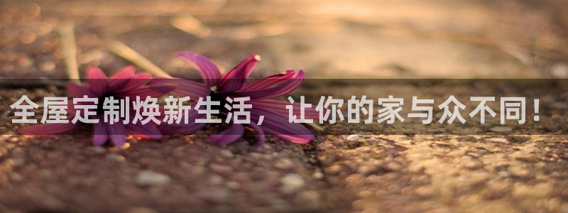 bb电子哪个平台好用一点