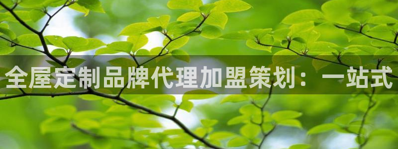 网上bb电子为什么那么假