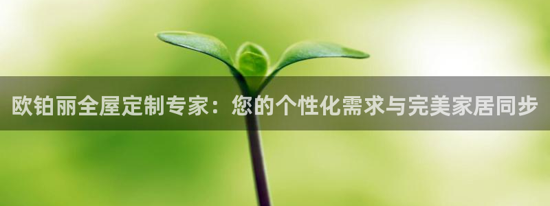 BB电子哪个平台好出款