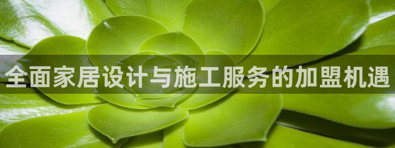 bb电子哪个平台好