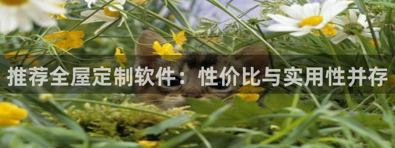 bB电子琴和弦