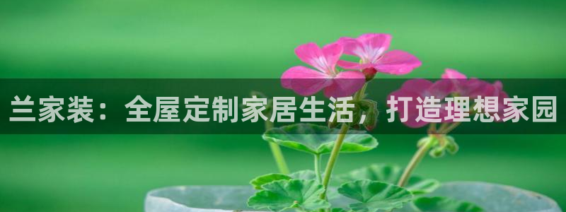 bb电子教育平台