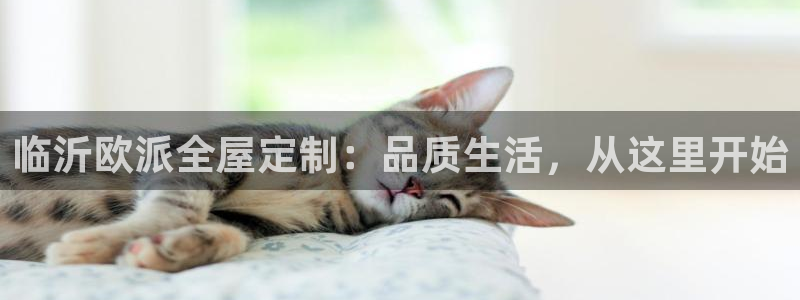 BB电子骗局