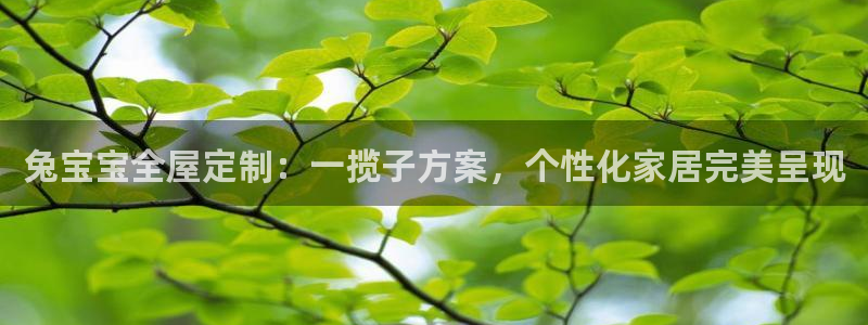 bb电子最简单设置方法