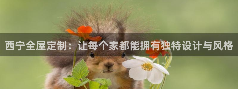bb电子哪个游戏好赢钱一点的