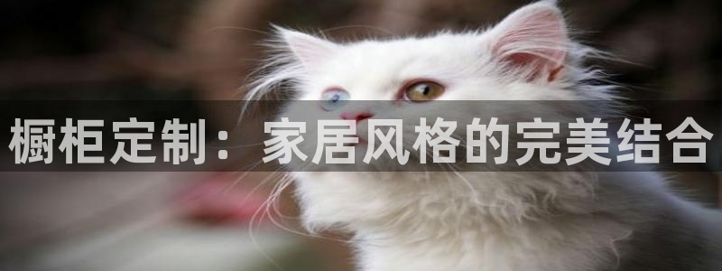 bb电子哪个平台好点