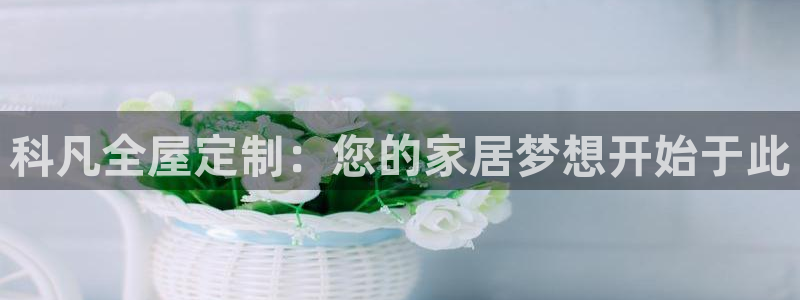 BB电子锁怎么接电