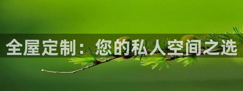 bb电子哪个平台好出款啊