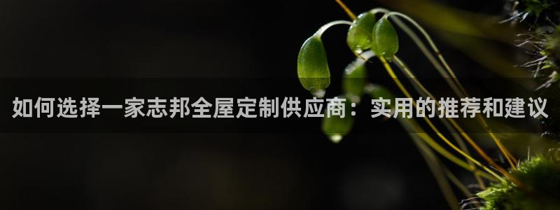 bb电子官网