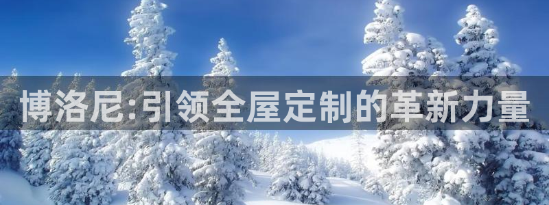 bb电子哪个平台好些