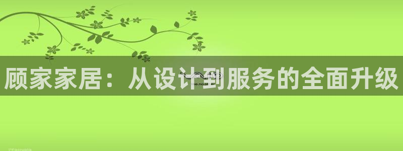 bb电子怎么英语怎么说