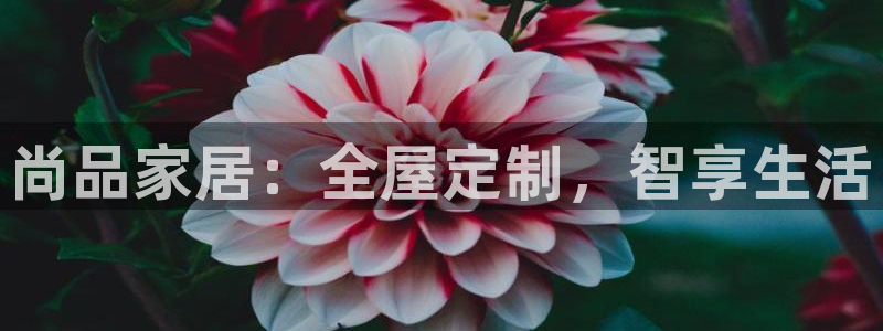 bb电子超级奖池彩金多少钱