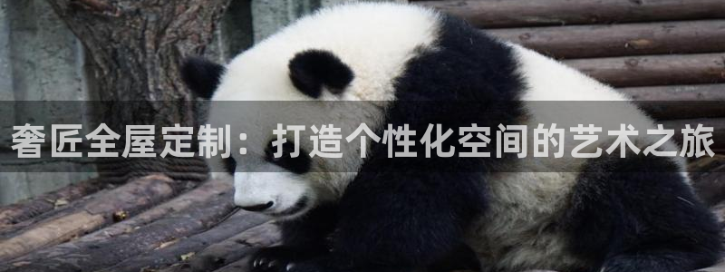 bb电子中了Major怎么算