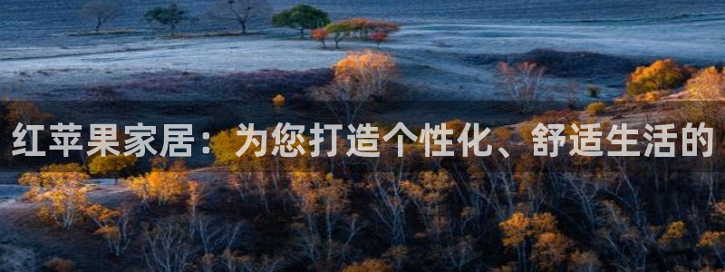 bb电子最简单设置方法