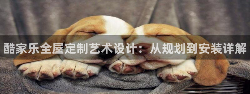 bb电子哪个平台好啊