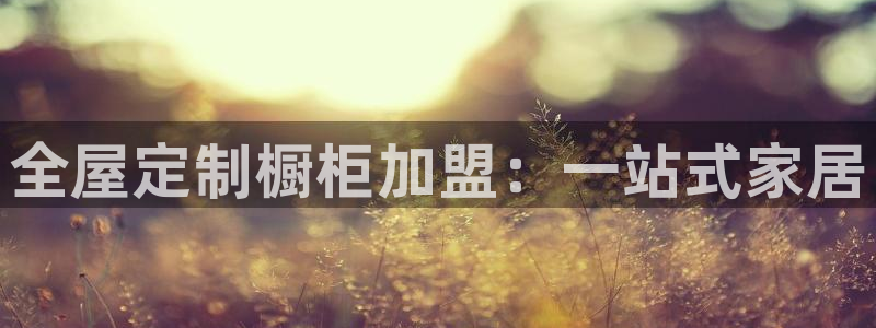 bb电子哪个平台好些