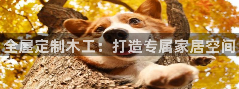 bb电子最简单设置方法