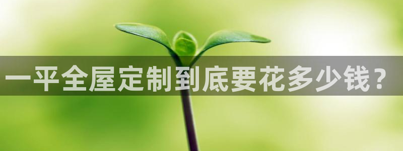 BB电子哪个平台好出款