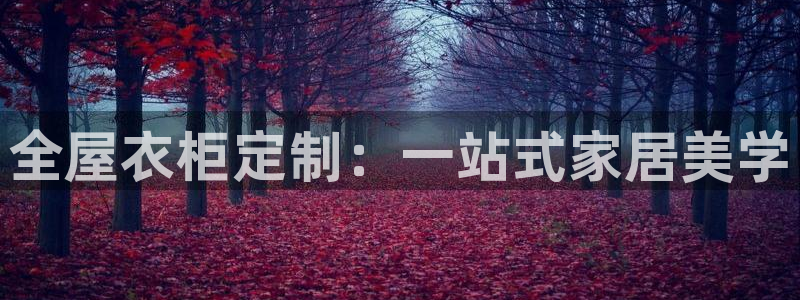 bb电子哪个平台好一点