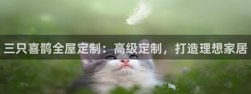 bb电子怎么英语怎么说