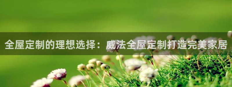 bb电子哪个平台好用一点