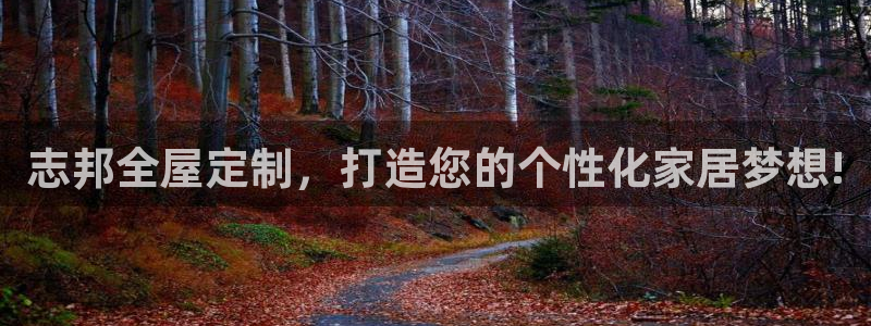 bb电子哪个平台好啊