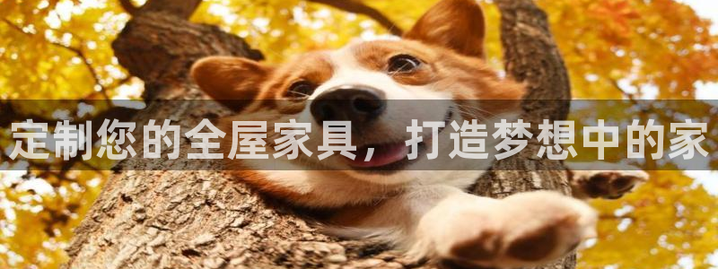 网上bb电子为什么那么假的