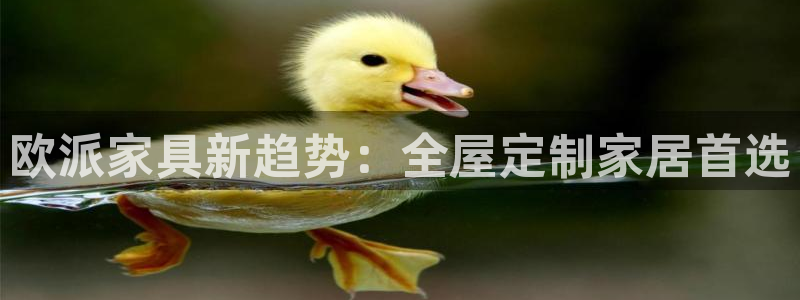 bb电子官网登录